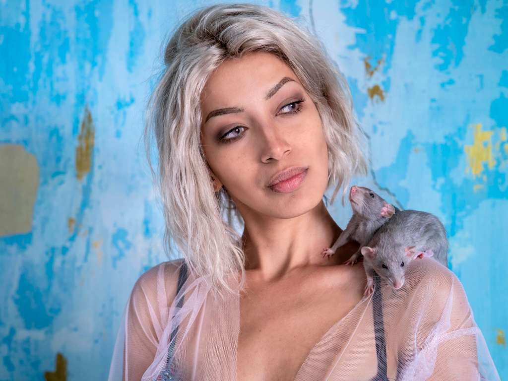 2020, The Year of the Rat - Chinese Horoscope - Lunar New Year | Photo: © iStockphoto.com/MEDITERRANEAN 2020, The Year of the Rat - Chinese Horoscope - Lunar New Year | Photo: © iStockphoto.com/MEDITERRANEAN