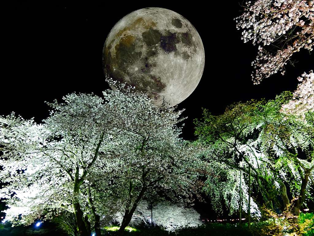 Vollmond im Zeichen Waage | Foto: (c) k_yu - stock.adobe.com Vollmond im Zeichen Waage | Foto: (c) k_yu - stock.adobe.com