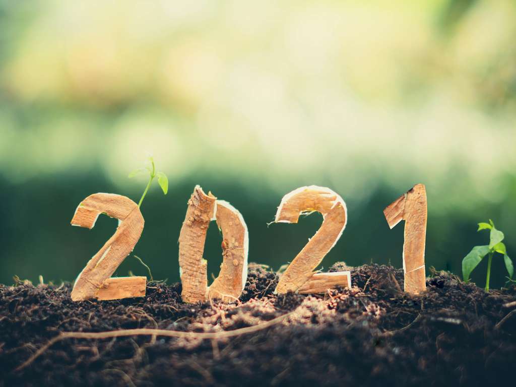 12 month forecast 2021 12 month forecast 2021