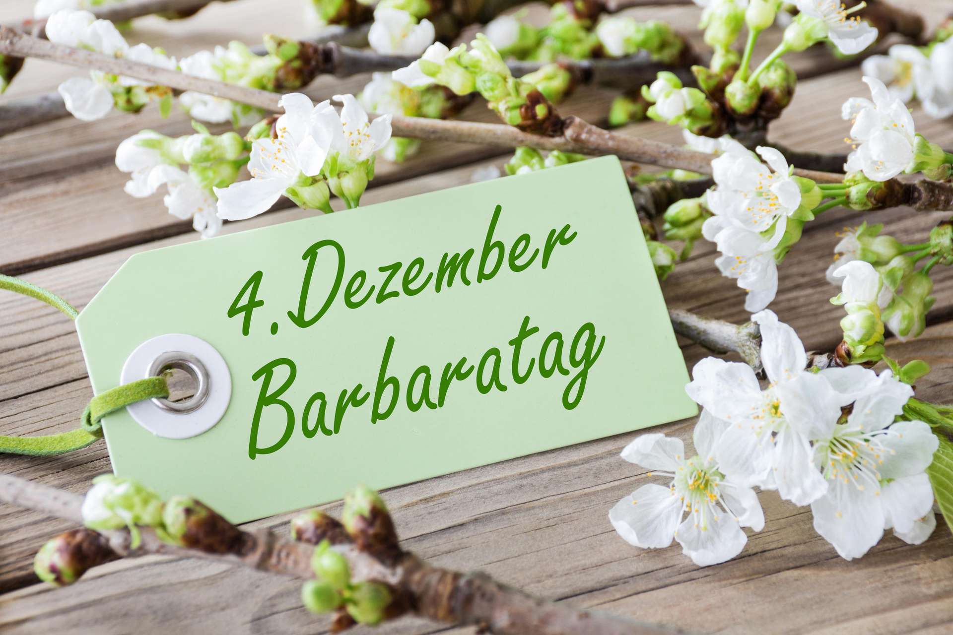 Barbaratag Horoskop 4.12.2019 Tageshoroskop Dezember